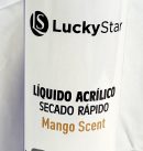 MONOMERO OLOR MANGO 500ML SECADO RAPIDO